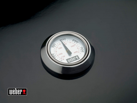 Угольный гриль Weber Performer Original GBS