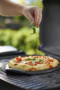 Газовый гриль Weber Q 2200 Black Line